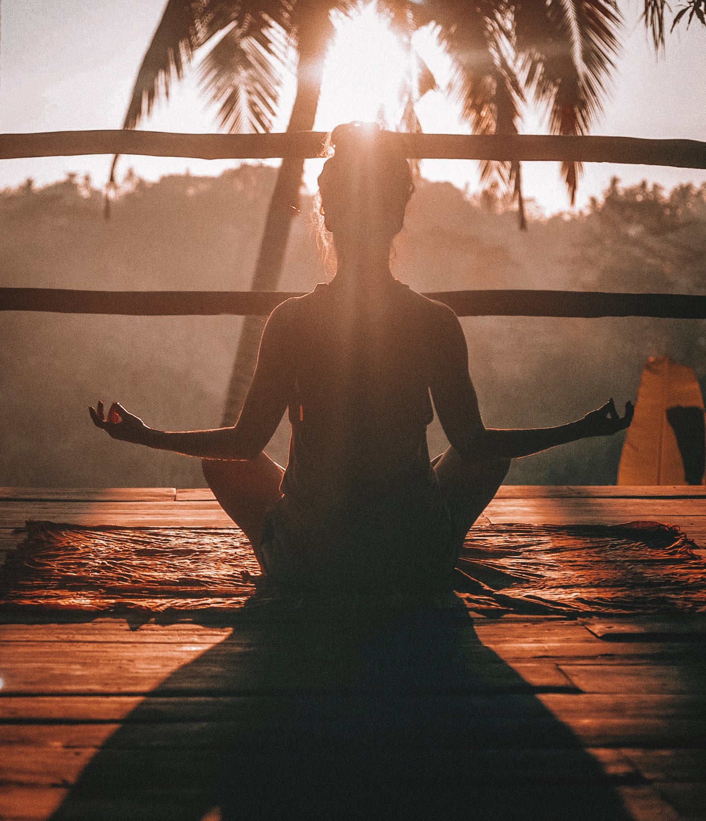 Meditation Services