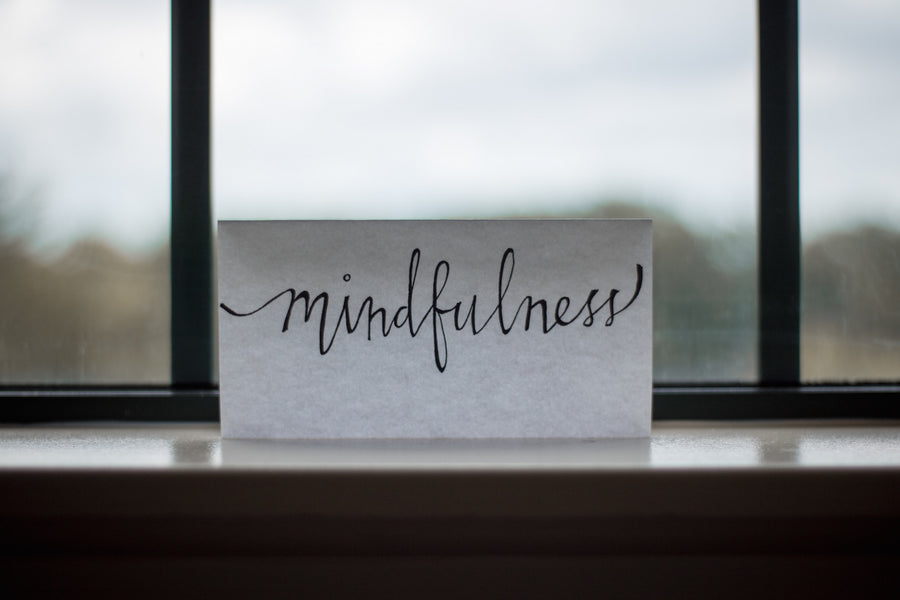 Private Mindfulness Meditation Coaching $100/hour